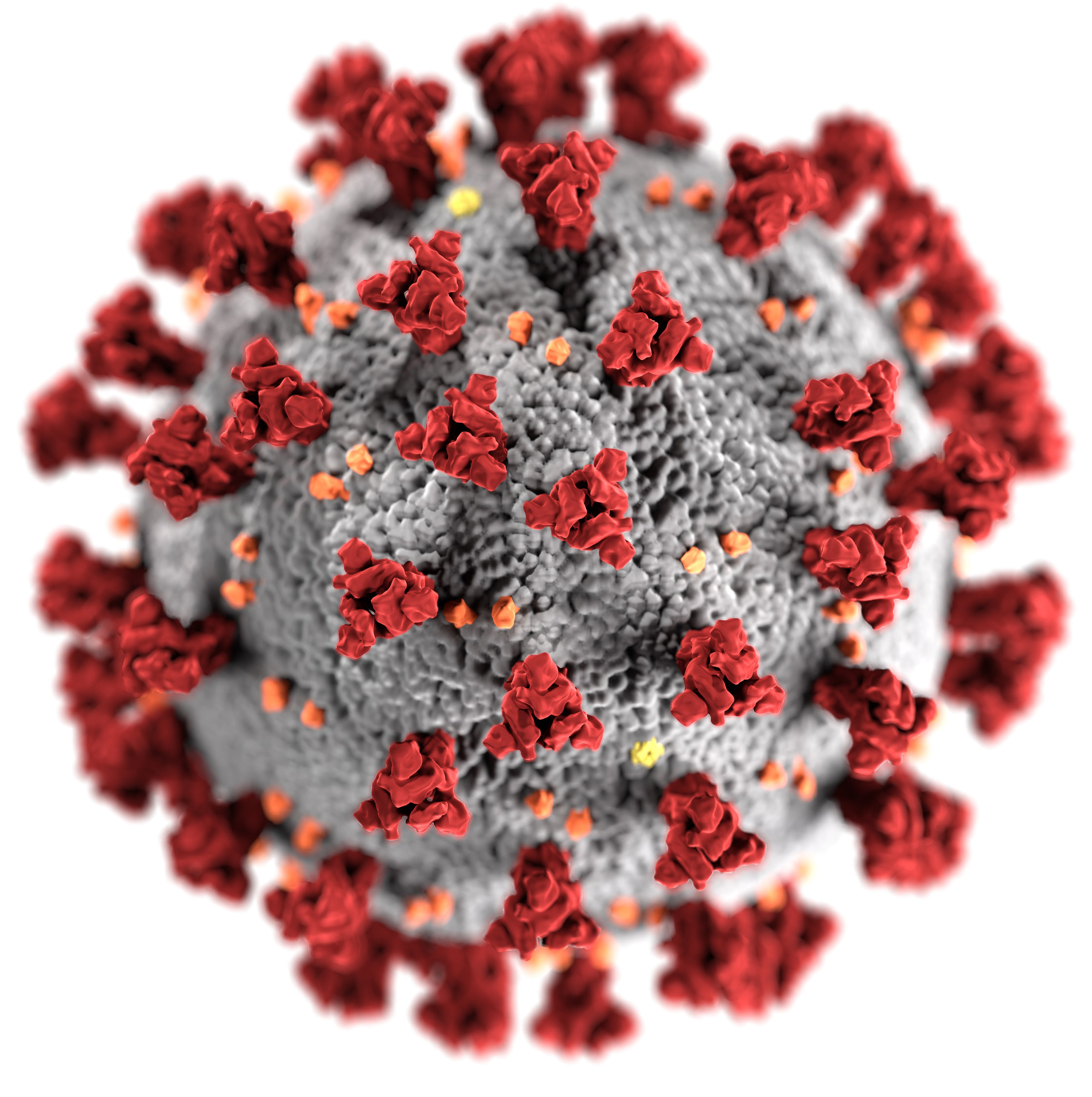 An depiction of the COVID virus